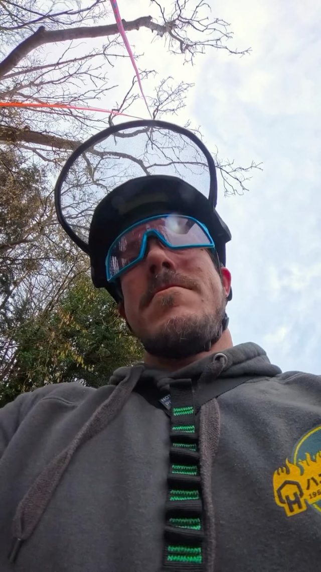 The look of love 👀😍 

@atattooedarborist setting up the @notchequipment Teal Rope Runner Pro, hands down best arb POV 😂. 

Hit it, get it 💪

#notchequipment #honeybros #arborist #climbinggear #arblife #treeclimber