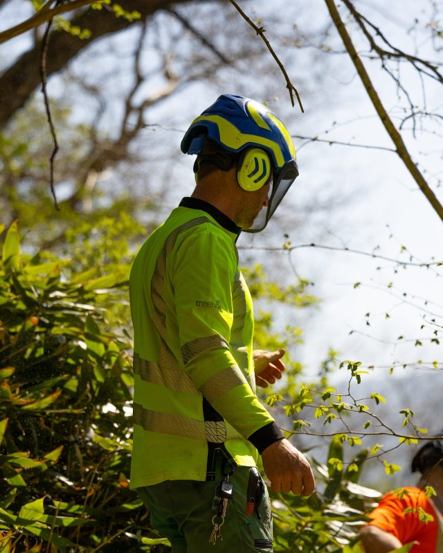 Arborist Must Haves: Helmet’s a given. Check out the Protos lids. That’s it ✌️

Full range available online or in store now. 

#honeybros #protos #safetyhelmet #helmet #arborist #arblife