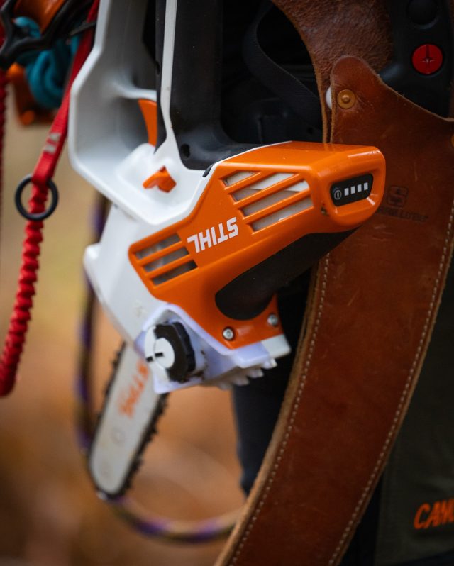 Stihl GTA 40 Kits available now.

The perfect little pruning saw, super lightweight, perfect for deadwood’s and reductions. 

Check them out in store or online now. 

@stihlgb 

#stihl #stihlgb #arborist #treepruning #treecare #treeclimber #honeybros #chainsaw