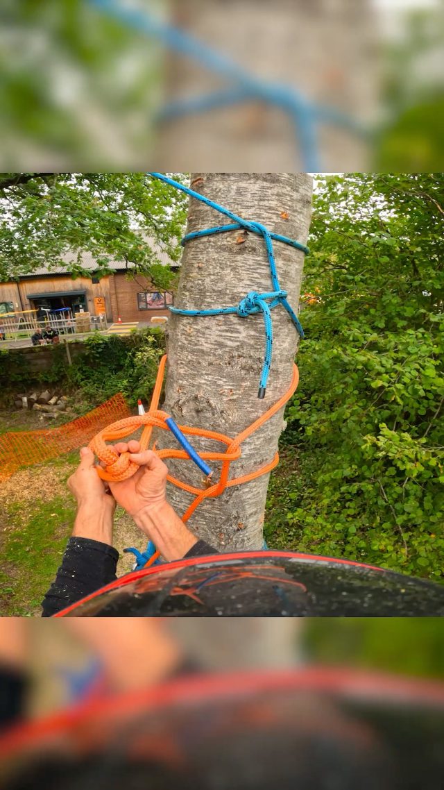 Rigging demos with the @notchequipment  Six Pack and @husqvarnauk  564XP at Honeyfest!! #rigging #notchequipment #husqvarna #chainsaw #arborist