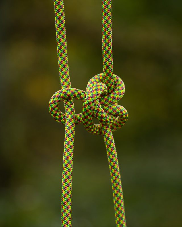 NEW GEAR!!

Fresh on the market the NEW @notchequipment Orange limited edition Vertec and the NEW @teufelbergertreecare Axel Drenaline 🤌

Don’t miss out on shiny new arb gear!! Available now in store or online at HB!

#honeybros #notchequipment #teufelberger #treecare #treegear #arborist #treeclimber