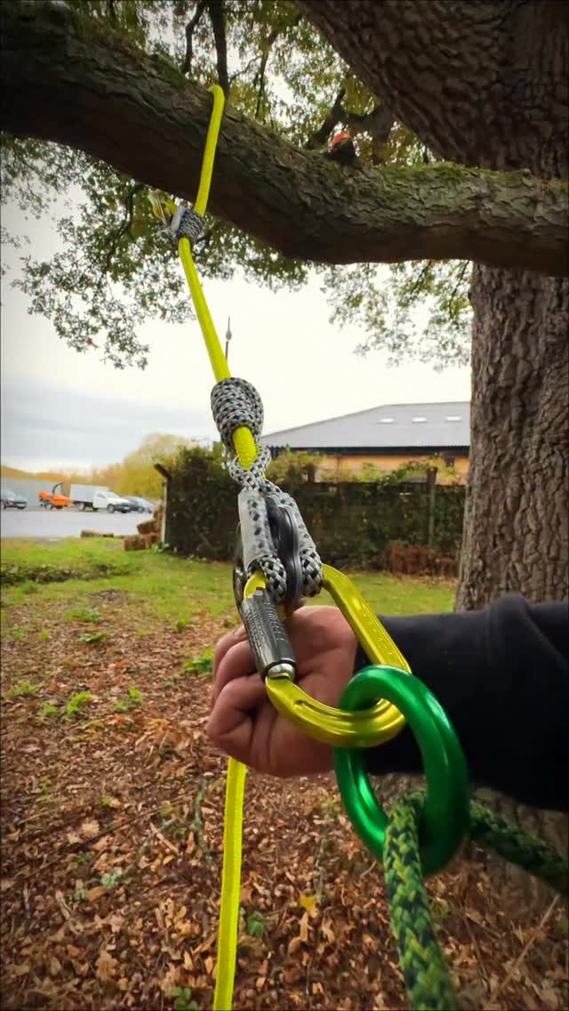 Tending satisfaction with the NEW @dmm_wales Nomad Lanyard 🤌🤤

Be sure to check out the approved hitches for the Nomad lanyard when selecting your hitch. 

#dmmwales #arborist #arblife #lanyard #treegear