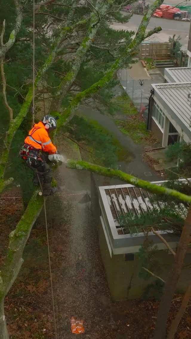 @portwestglobal Hi Vis work wear keeping you brighter than the Sun during these dark Winter months.

Grab hi vis tees and hoodies now at HB ☀️

#hivis #arborist #ppe #treeclimber #treeclimbing