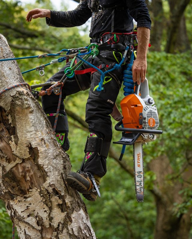 Get 10% off ALL PPE this Yellow Friday!! 💛🖤

#honeybros #arborist #ppe #chainsaw #treegear