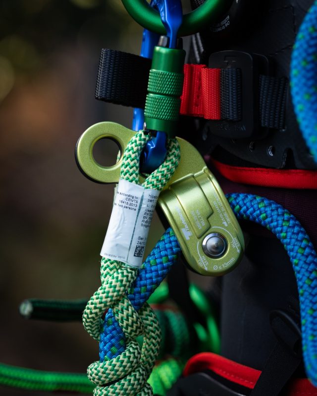 Day 9 Giveaway - Honey Brothers 12 Days of Christmas!🎄 
Today’s prize is a Limited Edition GlideHITCH Pulley from @teufelbergertreecare 

How to enter: 
1️⃣ Like this post 
2️⃣ Follow @honeybros_com and @teufelbergertreecare  
3️⃣ Tag a mate in the comments 
✨ Bonus entry: Share this post to your Stories and tag us

🕚 Entries close tomorrow at 11am

Winner announcement: 
⏰ The Day 9 winner will be announced tomorrow at midday on stories - before the next giveaway goes live.

Disclaimer: 
This giveaway is not affiliated with Instagram or Facebook.

#honeybros #teufelberger #treecare #treegear #arborist