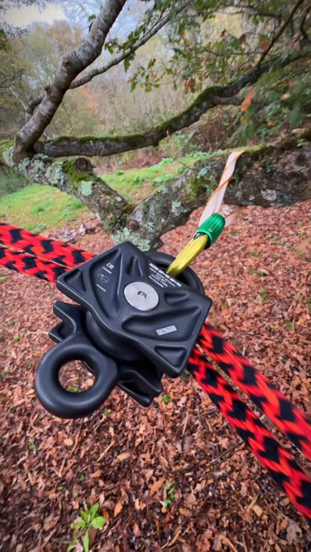 Smooth as butter 🤌 DRT/MRS Redirects. (Featuring @dmm_wales Gyro Twin Pulley. 

We made a full video of some options available over on our YouTube. Check it out.

#honeybros #dmmwales #arborist #treeclimber #treecare