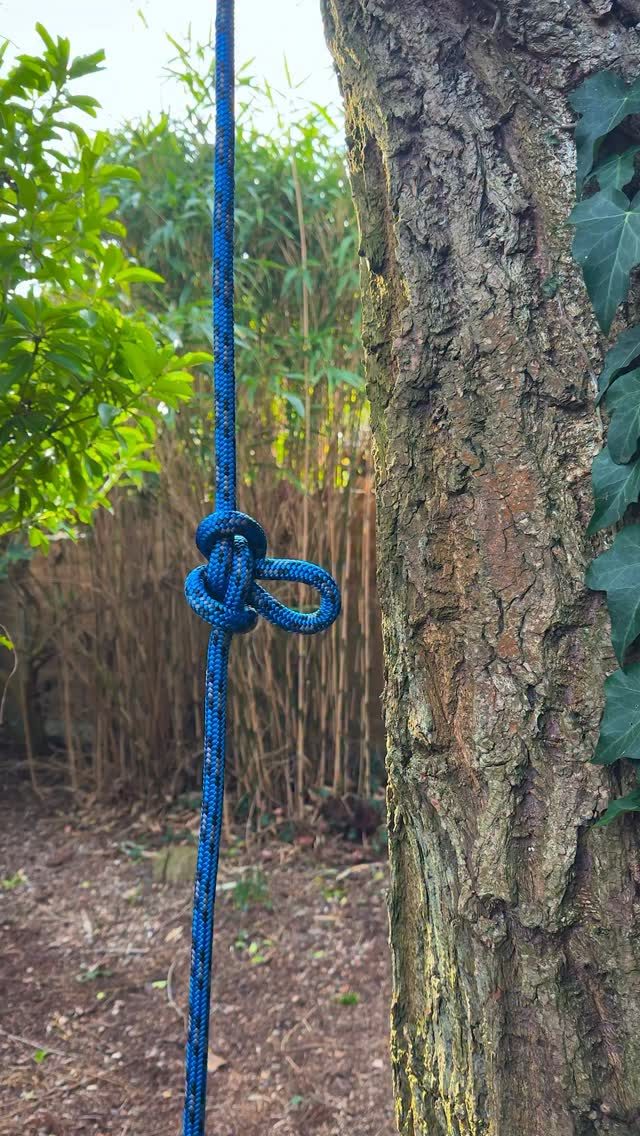 🍾 Honey Brothers 2025 Wrapped…

The @notchequipment CE Quickie was not only one of our best sellers this year but one of the most viewed videos of 2025!

Thanks to everyone for your support this year 🥂

#honeybros #notchequipment #arborist #treeclimber #treeclimbing