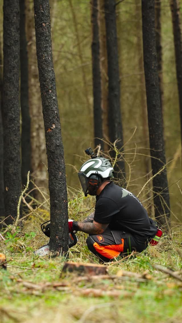 Basic felling technique for your small tree felling assessment day. (Unit 203/CS31) 

@mediarbtraining demos the basic felling technique you will carry out on your NPTC training and assessment day. 

Check out our full video series made with Danny on our YouTube. If you’re about to take your tickets or know someone that is, these might help! Check them out 👍

#nptc #treefelling #arborist #forestry #chainsaw
