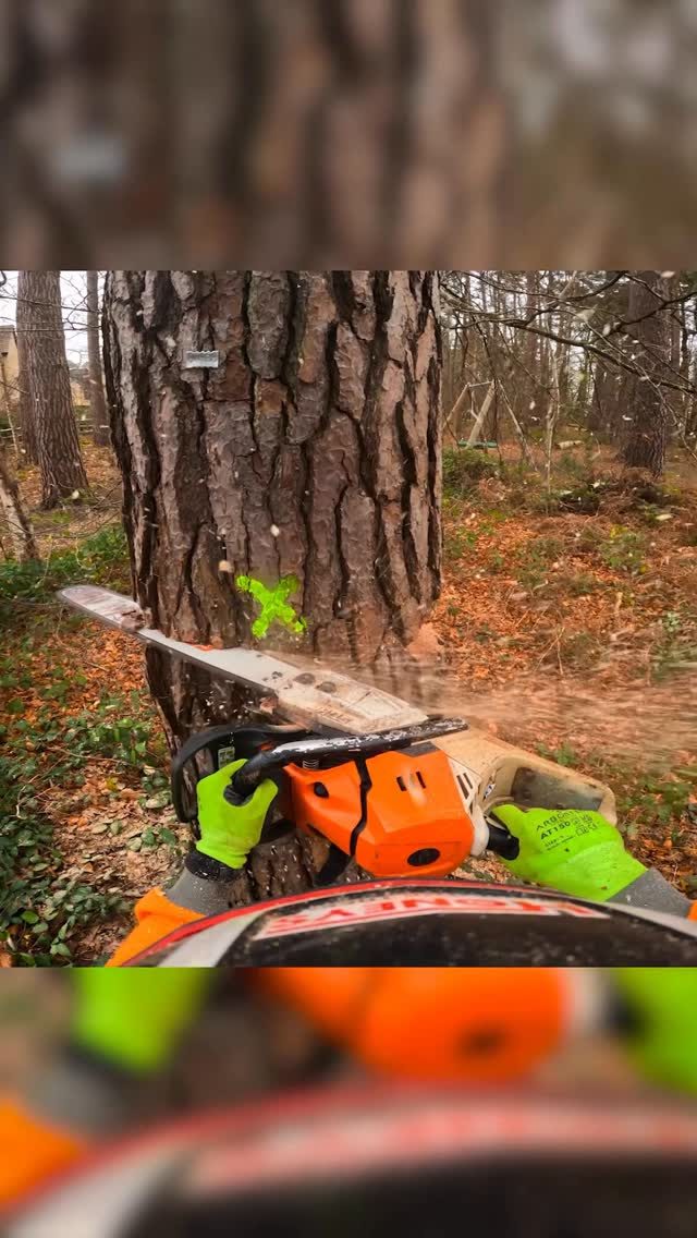 Winter fells - bosh!!

How’s everyone enjoying the first week back???

(Stump left high as per customer request 👀) 

#treefelling #honeybros #arborist #treework #chainsaw
