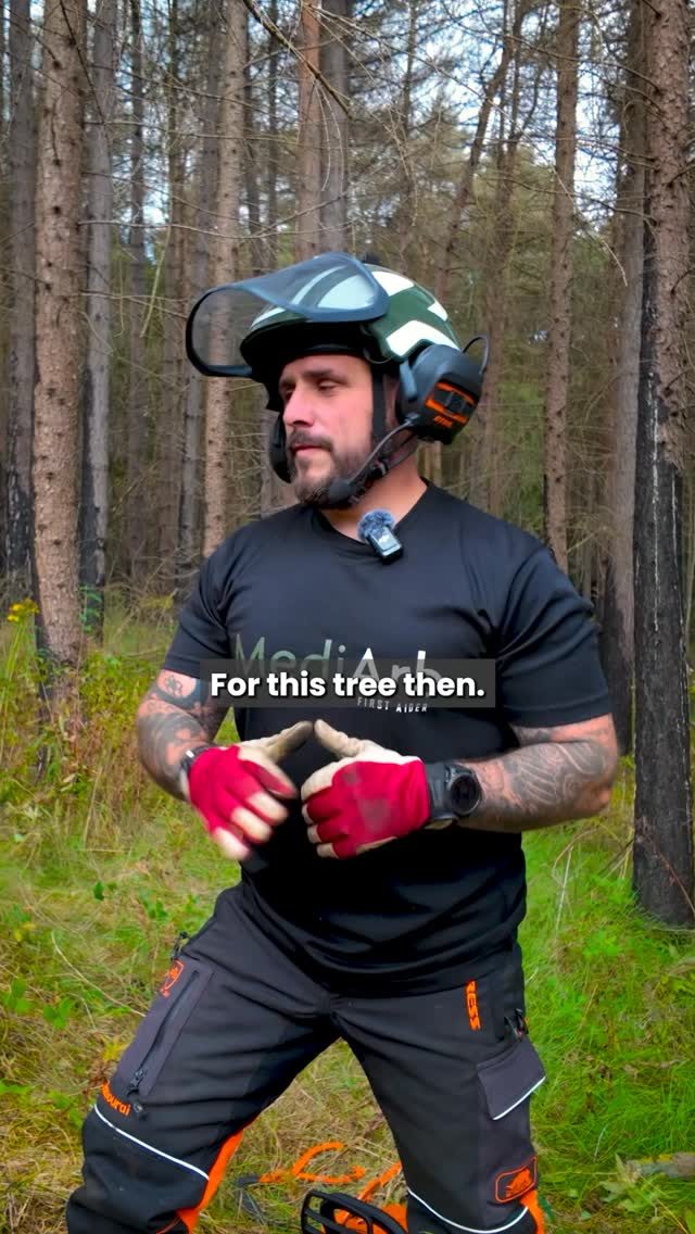 Split level fell. 

Don’t miss our ‘What to expect on your NPTC Assessments’ series over on YouTube!! 

Small Fells up to 380mm is Part 2 in the series. 

Made in collaboration with @mediarbtraining 🙌

#treefelling #chainsaw #arborist #forestry #treework