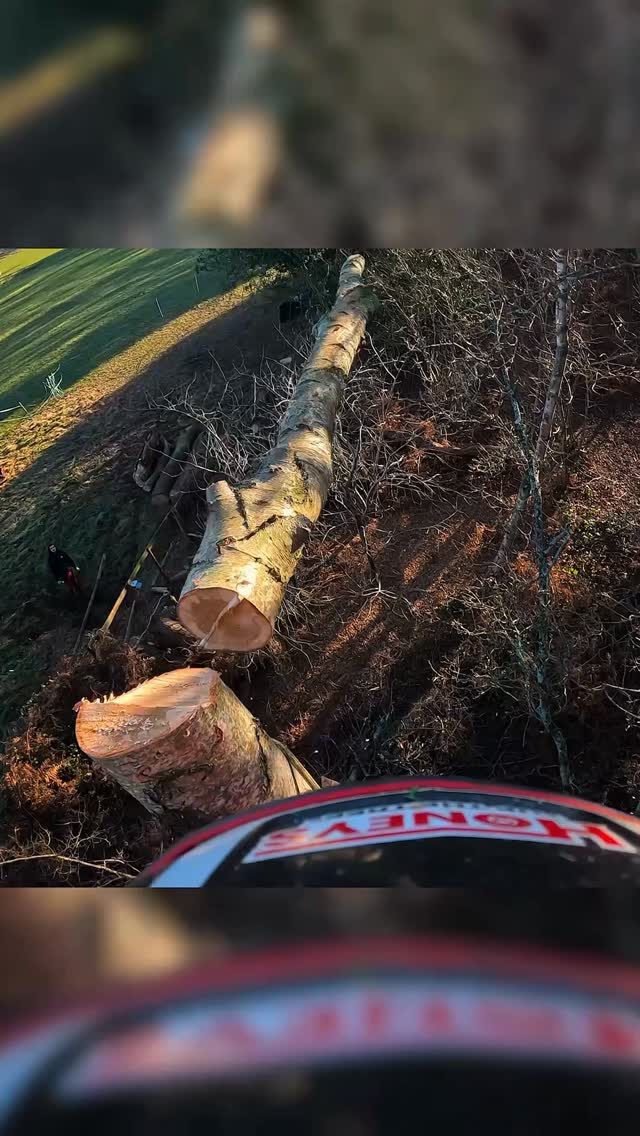 How to plant a tree 😂

Happens to the best of us 😏

#honeybros #arborist #arblife #treework #chainsaw
