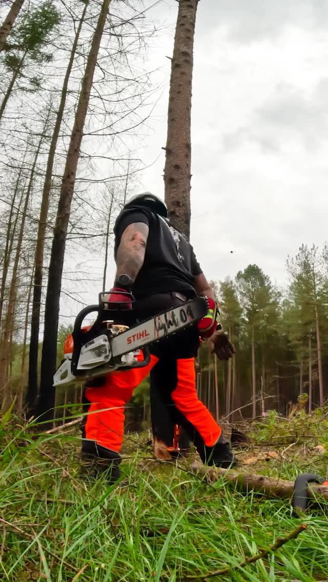 Small fells - The Danish technique or Safe Corner Hold. 

Check out our full range of forestry tools available this Feb! 

To see the full video of our ‘NPTC Felling and Processing Trees up to 380mm - What to Expect on Assessment Day’ head over to our YouTube channel for the full video and whole NPTC Assessment day series. 

Made in collaboration with @mediarbtraining 

#treefelling #chainsaw #forestry #honeybros #mediarb