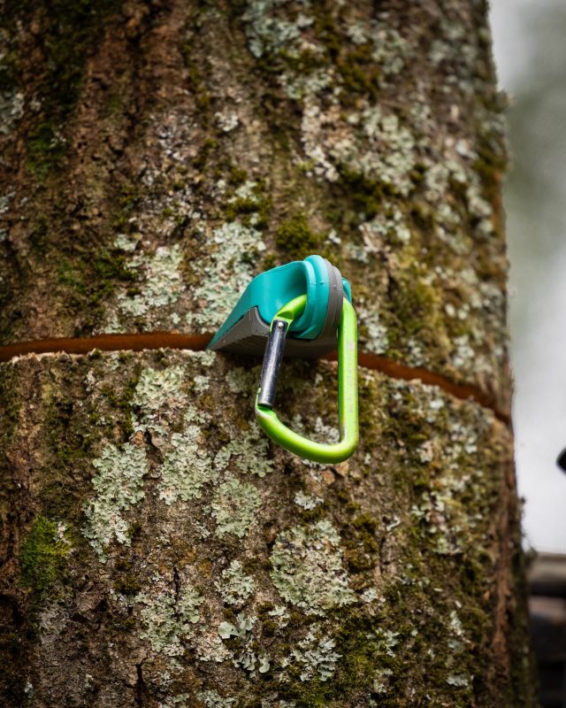 The @notchequipment Compact Dual Wedge.

This wedge not only prevents saw pinching but the interlocking design with a hinge connection ensures a secure fit and easy separation when needed, allowing you to use it as one wedge or as two separate wedges depending on the task at hand.

Get yours in store or online now.

#notchequipment #honeybros #treefelling #treework #chainsaw