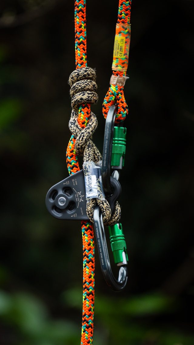 @ropelogic Wrapstar 10.1mm Eye 2 Eye Hitch - These eye to eyes are a dream!! 🤌  #honeybros #ropelogic #arborist #treegear #treeclimber