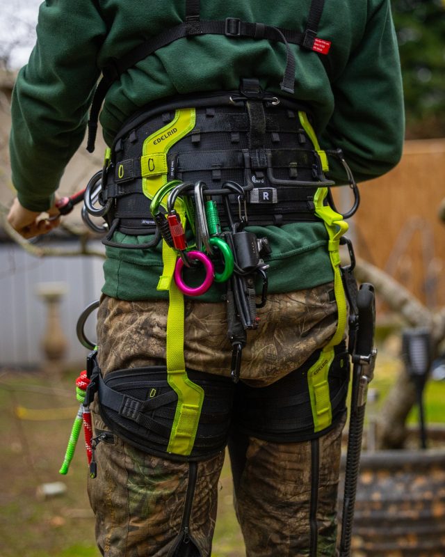 The @edelrid.professional TreeRex 2.0 Triple Lock Climbing Harness - Size 0 and Size 1 back in stock!

KEY FEATURES:

▪️3D Vent technology: unsurpassed support and comfort through three-dimensional molding, extensive force distribution, and maximum breathability

▪️All load-bearing straps are equipped with indicator tape; red fibers become visible in the event of damage to inform the user that the harness should be replaced
▪️Double Lock buckles on the waist belt and leg loops allow the harness to be easily put on and taken off

▪️In hip belt integrated bungee-tool

▪️Incl. first aid bag and SRT bridge

▪️Lateral fastening eyelets in the leg loops for installing up to two rope bridges or for workplace stabilization

▪️Leg loop straps with textile abrasion protectors made from Dyneema®

▪️NFC inside

▪️The angle of the lateral fastening eyelets can also be adjusted under load thanks to a smart adjustment mechanism for an optimum working position in the tree

▪️Two colour-coded rope bridges and one anchor ring for maximum lateral freedom of movement

Get yours in stores or online now. Also try before you buy in the shop!!

#ederid #honeybros #arborist #treeclimber #treegear