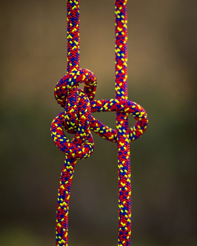 🔥 Meet the Sterling Triad Red 11.9mm — your new powerhouse climbing line.
Built for arborists who demand precision, control, and absolute smoothness in every ascent.

💥 Hybrid Core = Next‑Level Performance
A unique combo of twisted inner cores + a braided outer core gives you that perfect sweet spot: round like a kernmantle, flexible like a double braid.
Strong. Smooth. Incredibly reliable.

⚙️ Effortless Through Devices
Thanks to its 32‑strand polyester sheath, the Triad glides through friction savers, mechanicals, and ZigZag setups with minimal drag — keeping your flow clean and efficient.

🌳 Dialed for SRS. Ready for MRS.
Low elongation means sharper positioning, better control, and the confidence to tackle demanding climbing days.

#honeybros #sterlingtriad #arborist #climbingrope