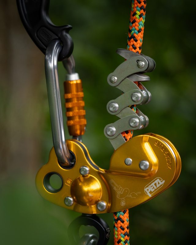 🔥 A firm favourite of arborists — the Petzl ZIGZAG PLUS.
The mechanical Prusik that delivers ultra‑smooth, precise, and controlled movement in the tree, all with the familiar feel of a classic Prusik pulley system.

⚙️ Why the ZIGZAG PLUS stands out:
• Intuitive mechanical Prusik action — no learning curve
• Friction chain gives controlled, fluid movement
• Sealed‑bearing pulley makes slack take‑up effortless
• High‑efficiency lower swivel keeps the device stable + perfectly aligned
• Works on 11.5–13 mm EN 1891 A ropes
• CE Certified
• Built strong with steel, aluminium + curved plates for durability
• 140 kg WLL for reliable professional use

🌳 Versatility for Every Climbing Style
Use it straight out of the box on doubled rope (DdRT) — smooth, predictable, and incredibly efficient.
Or add extra functionality by pairing it with the Petzl CHICANE (sold separately) for controlled single‑rope (SRS) descents and improved glide on ascent.

💡 The CHICANE isn’t required — but for climbers who want SRS capability, it’s the perfect upgrade.

The ZIGZAG PLUS: smooth, refined, and built for the real work happening in the canopy. 🌳⚙️

#honeybros #zigzagplus #petzl #arborist